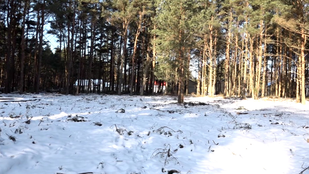 Lietuvas pilsonis ar pārkāpumiem izcirtis daļu sev piederoša meža Papes dabas parkā