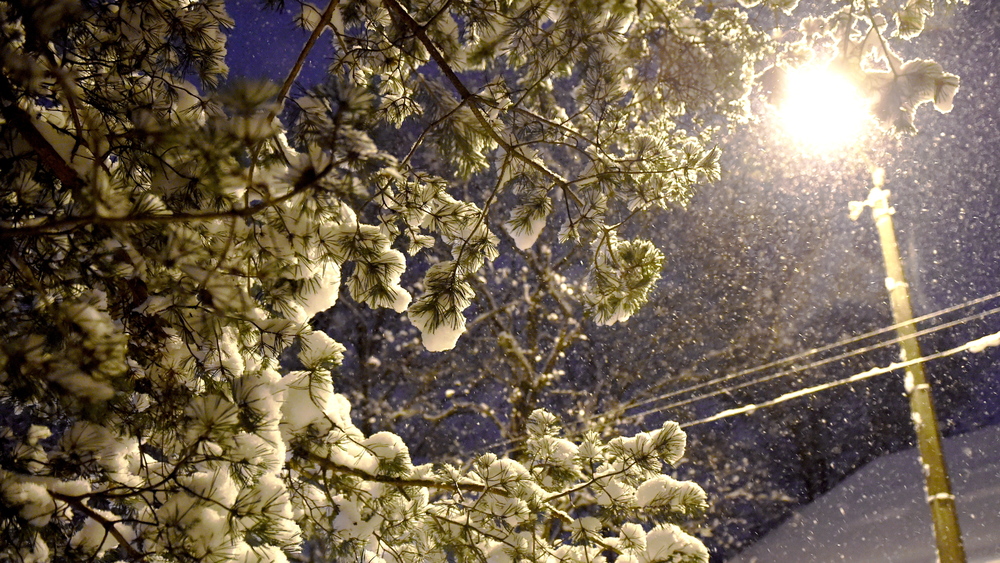 Sniega un vēja dēļ Latvijā aizputināti ceļi un traucēta elektroapgāde