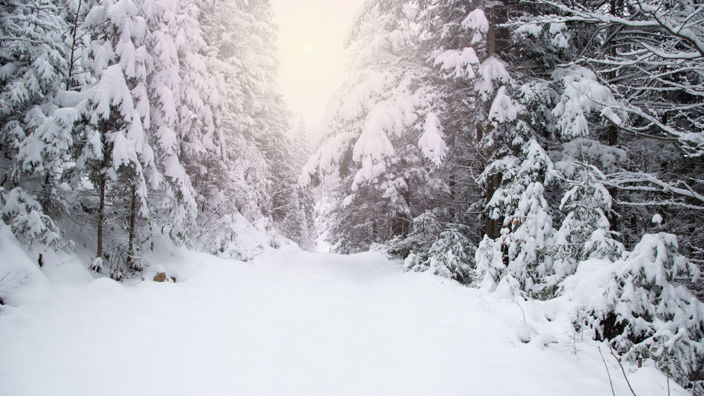 Nedēļas nogalē Latvijas austrumos iespējams 30 centimetrus dziļš sniegs un 30 grādu sals