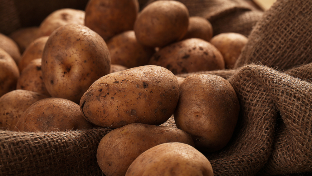 Ja dārziņā iestādīti kartupeļi, badā nebūs jācieš