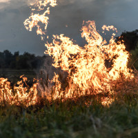 Latvijā piektdien sāksies meža ugunsnedrošais laikposms