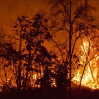 Latvijā sākas meža ugunsnedrošais laikposms
