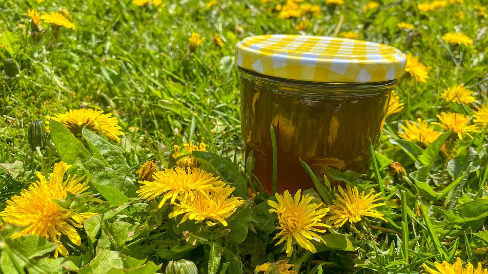 Burciņa ar pieneņu medu zaļā pļavā starp dzelteniem pieneņu ziediem.