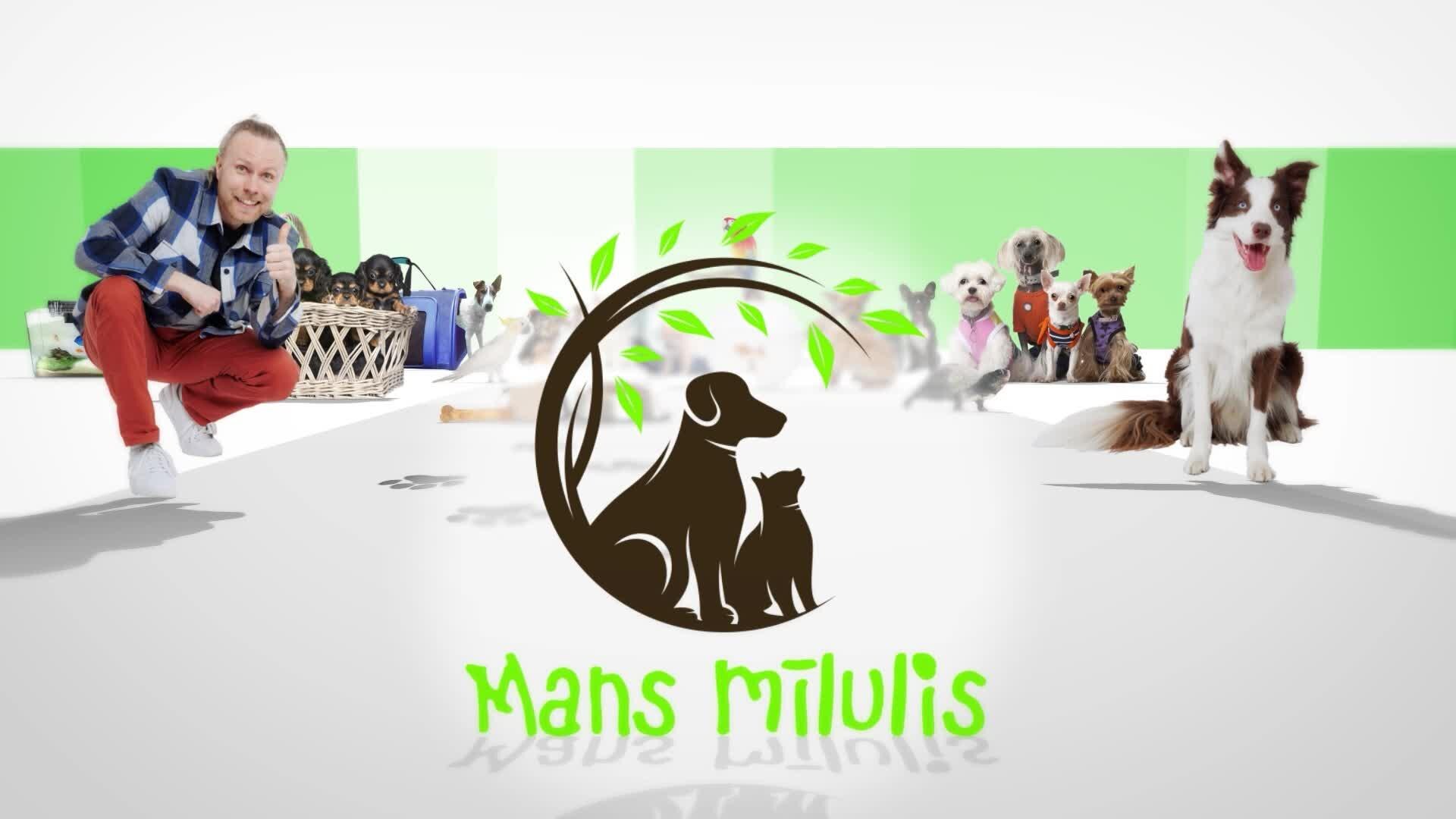 Mans mīlulis