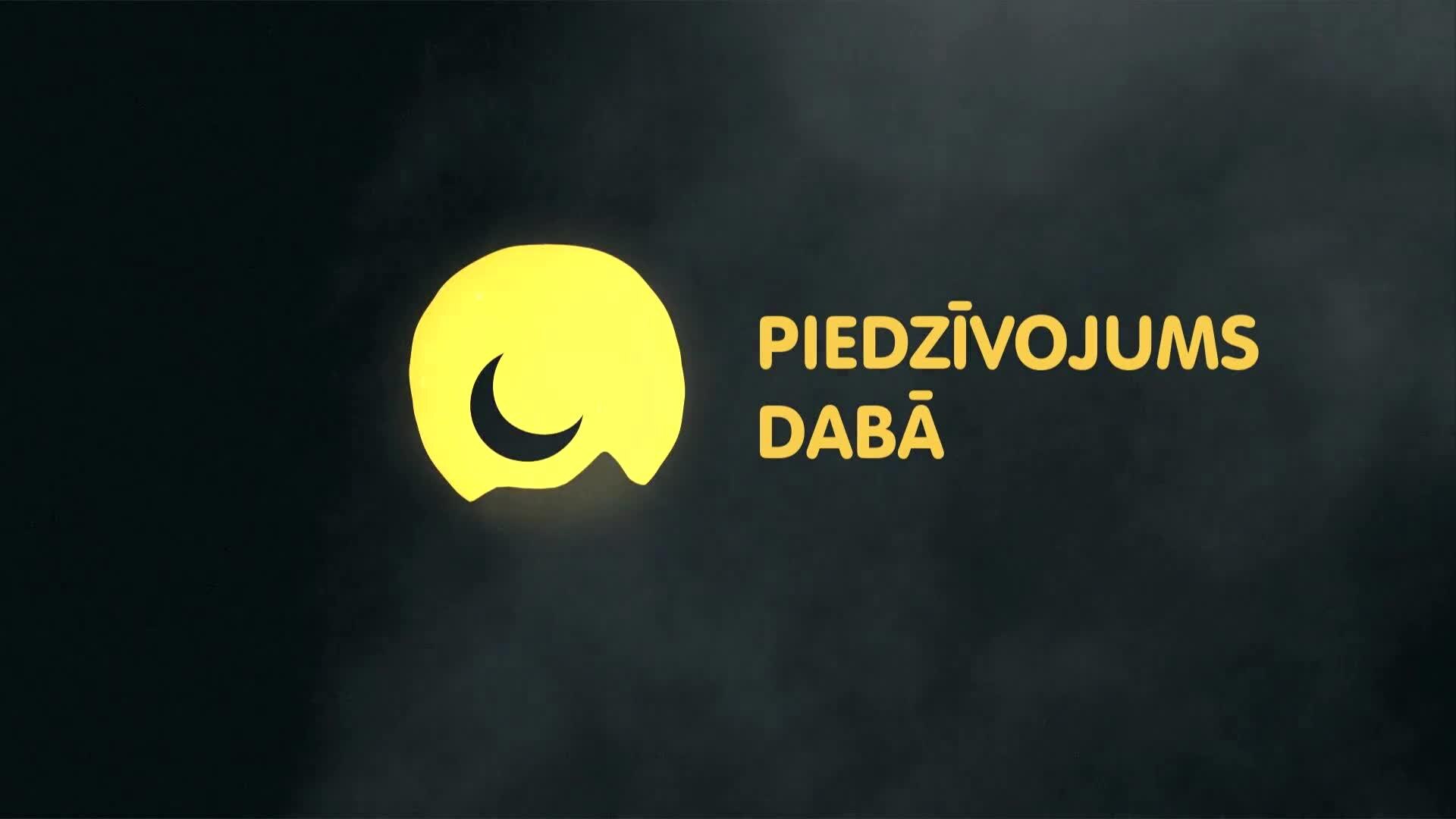 Piedzīvojums dabā