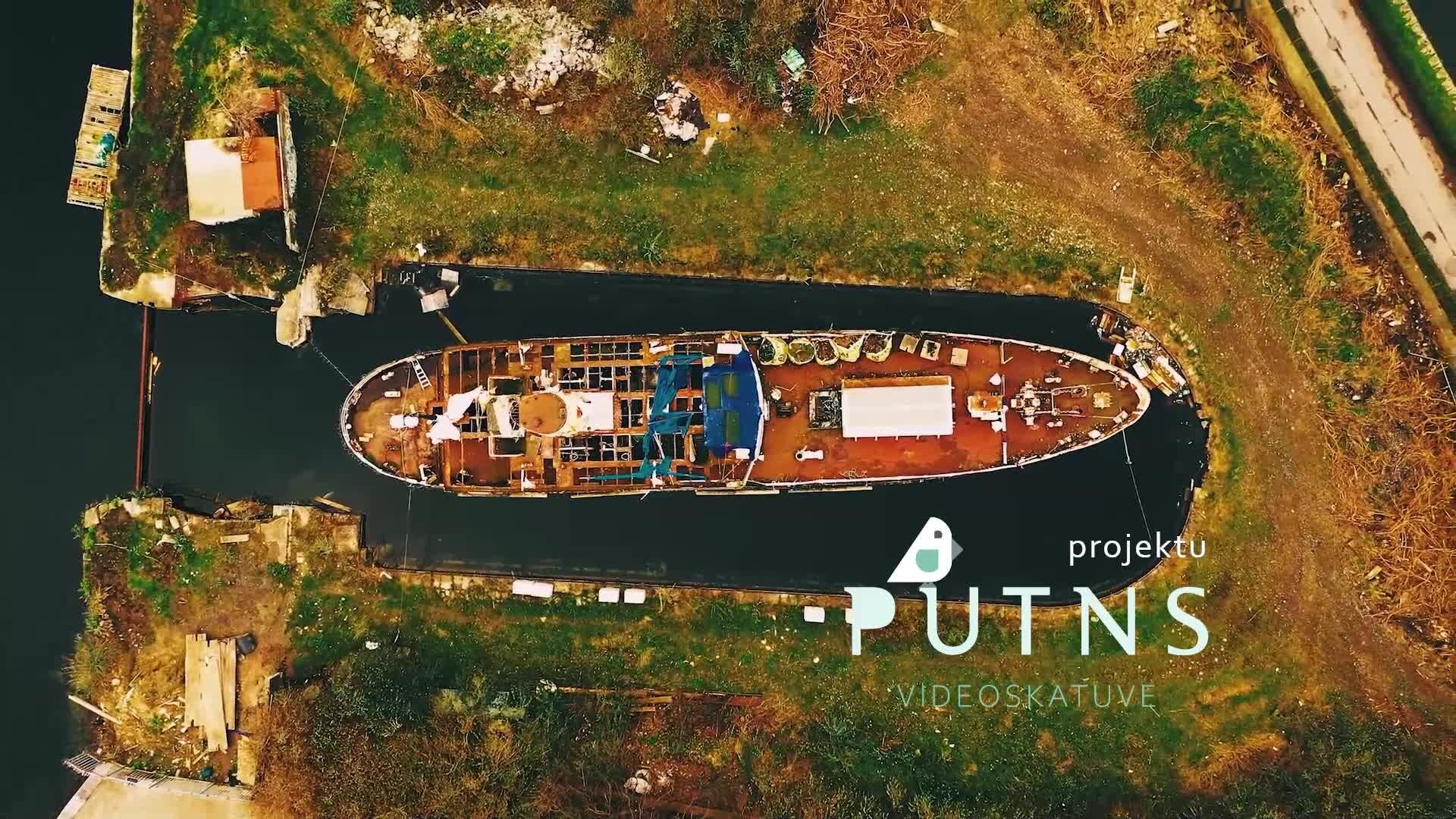Videoskatuve Putns