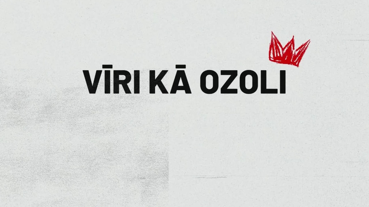Vīri kā ozoli