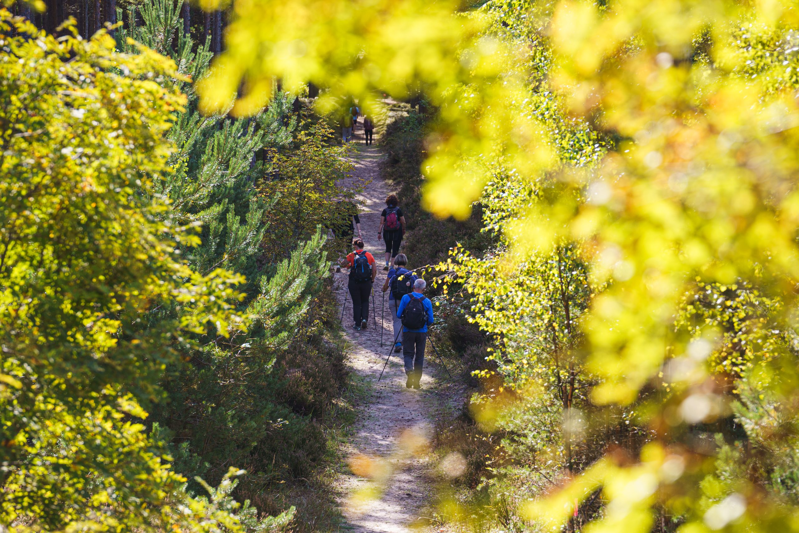 Attēls no TrekTours pārgājiena pasākuma