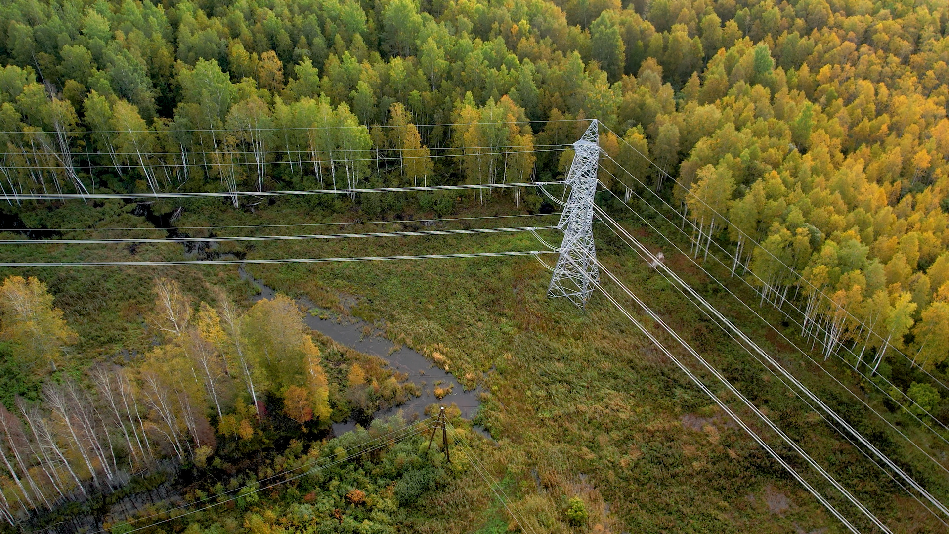 Augstsprieguma elektrolīnijas virs meža rudens ainavā