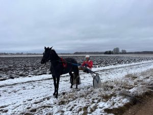 Rikšotājzirgs ar braucēju sniegotā laukā Latgalē