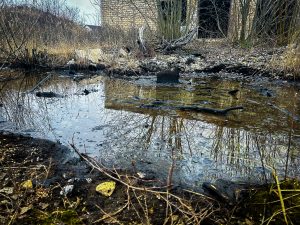 Pamesta ēka ar nelielu ūdens peļķi priekšplānā un atspulgiem koku zaros