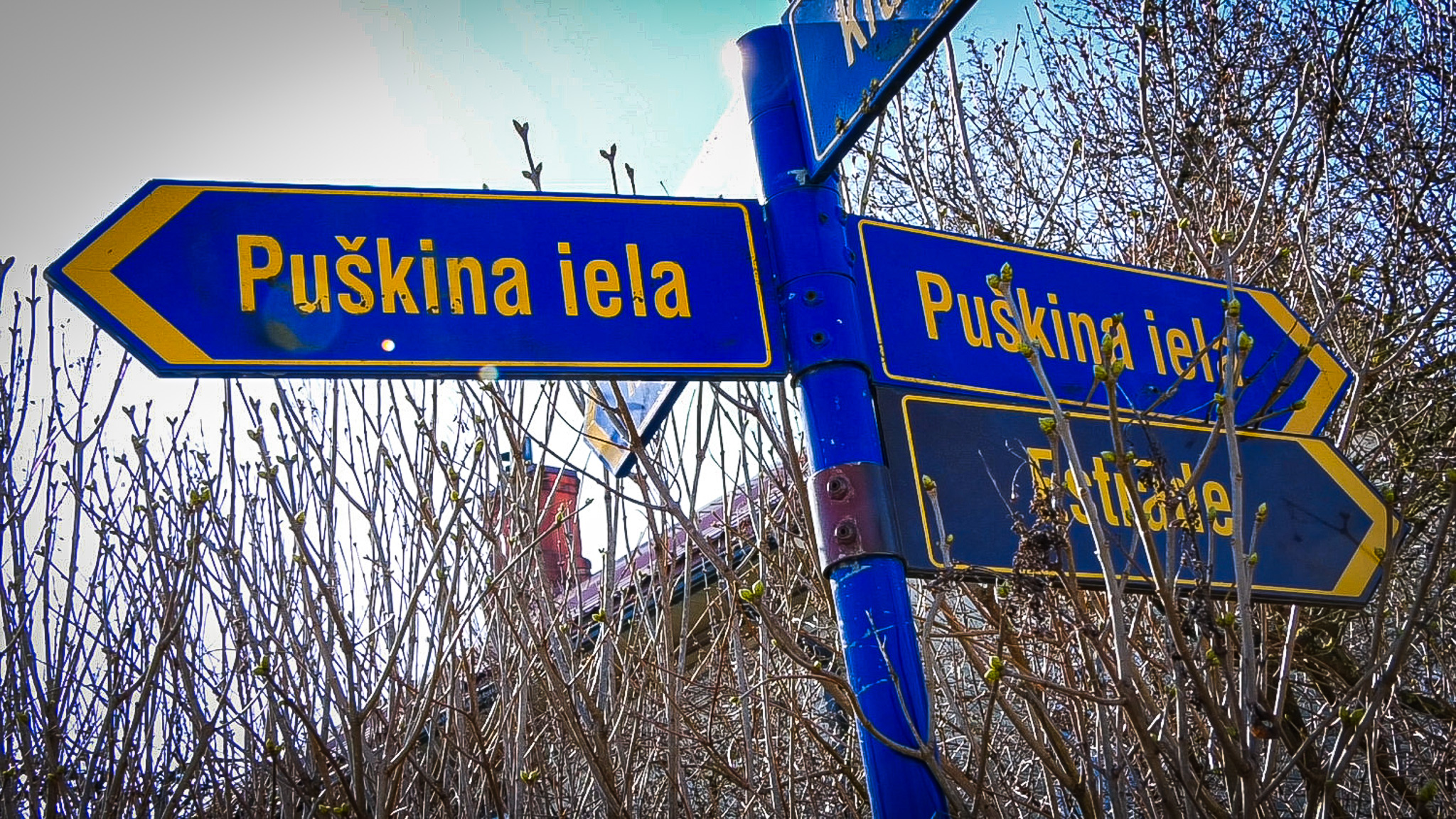 Ceļa zīmes ar uzrakstu Puškina iela, pavasara ainava fonā