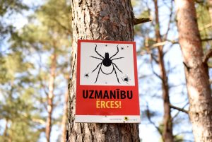 Brīdinājuma zīme par ērcēm pie koka mežā.
