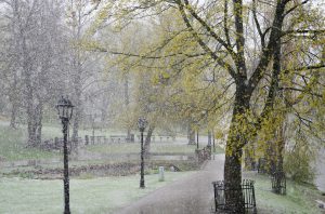 Pavasara sniegs parkā, koki un lampas ap gājēju celiņu.