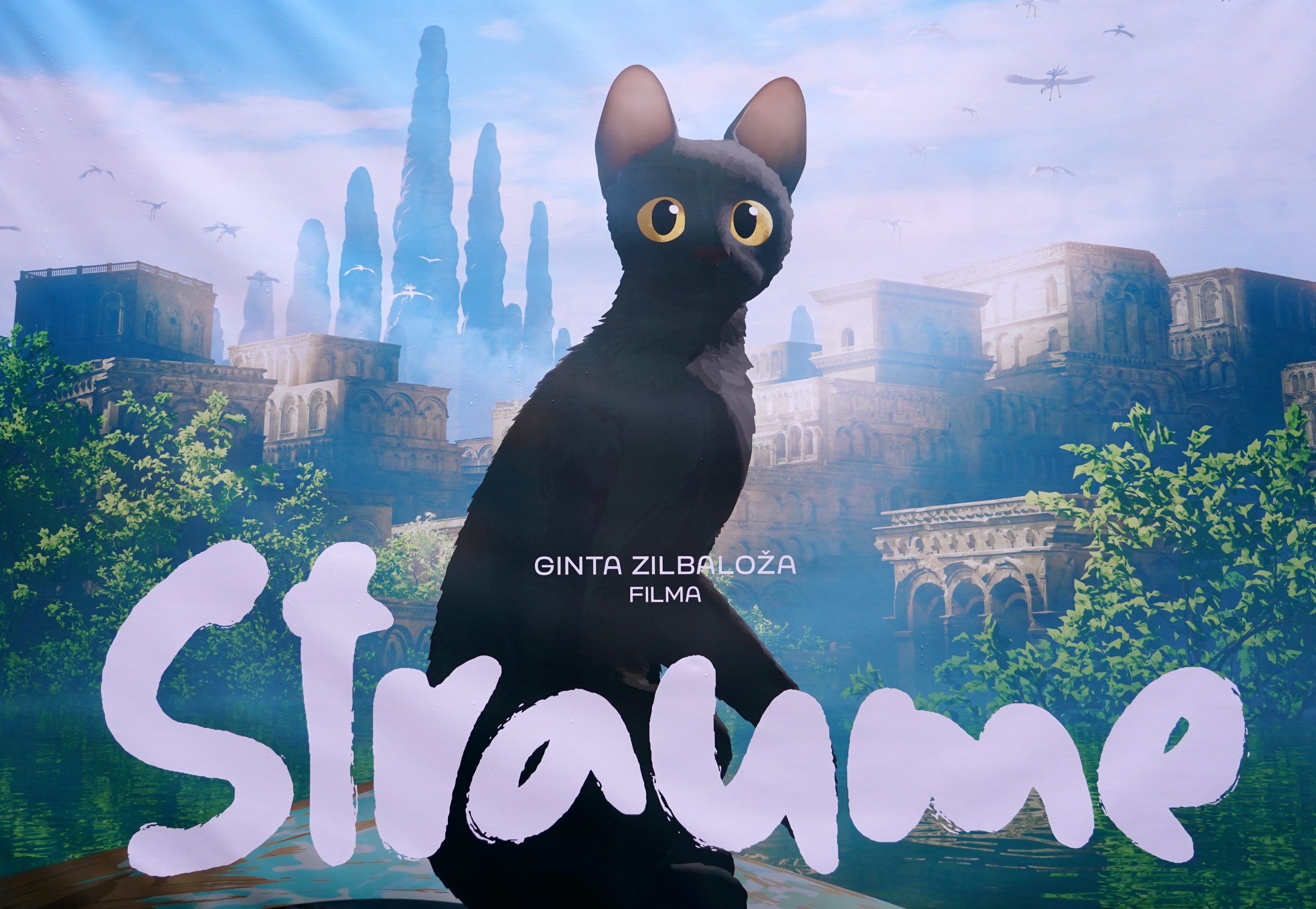 Animācijas filmas 