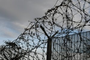 Dzeloņstiepļu žogs uz Latvijas austrumu robežas drošības stiprināšanai
