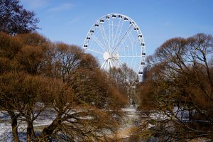 Panorāmas rats ziemīgā parkā ar kailiem kokiem priekšplānā