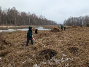 Cilvēki siltās drēbēs ar grābekļiem sakopj atmirušo zāli pie neliela ūdenstilpuma, apkārt birzis un vēl saglabājies sniegs