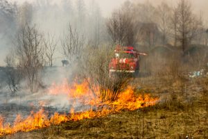 Kūlas ugunsgrēks laukā ar liesmām un ugunsdzēsēju mašīnu fonā