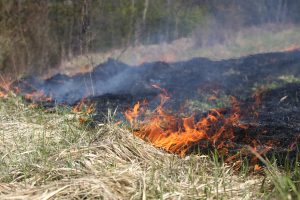 Ugunsgrēks laukā ar dūmiem un liesmām, kas apņem zāli.