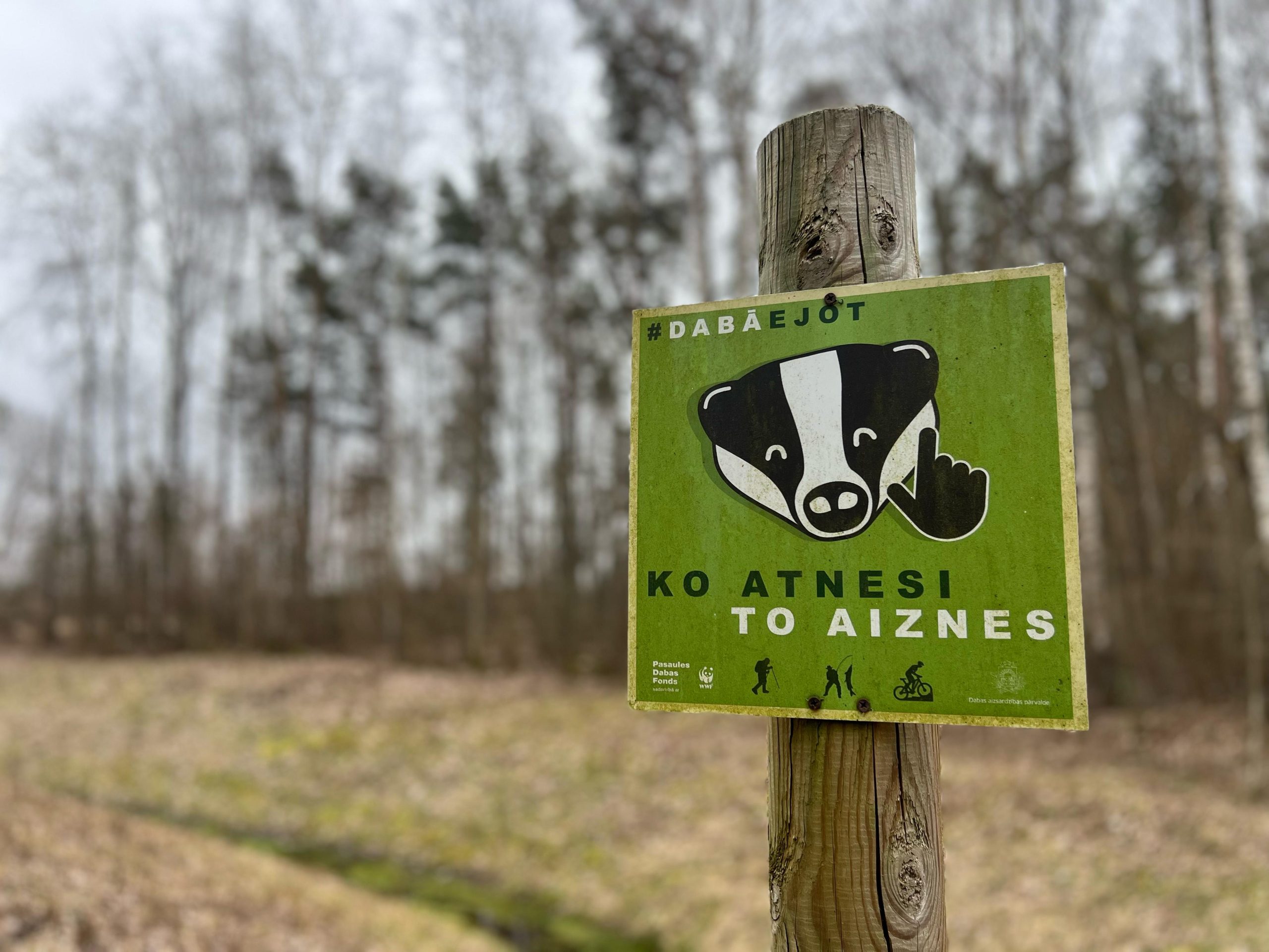 Zaļš informatīvs plakāts mežā ar āpša ilustrāciju un uzrakstu 