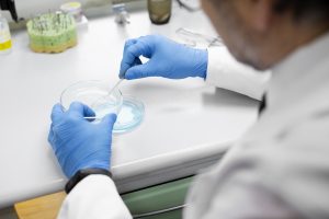 Zinātnieks laboratorijā veic mikrobioloģisku analīzi, izmantojot Petri trauku un pipeti.
