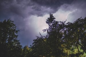 Zibens un negaisa mākoņi virs koku galotnēm vakarā