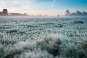 Apsarmojusi pļava agri no rīta, miglai pārklājot ainavu, tālumā redzams cilvēka siluets