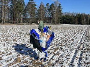 Putnu biedēklis ziemā uz lauka, lai atbaidītu zosis