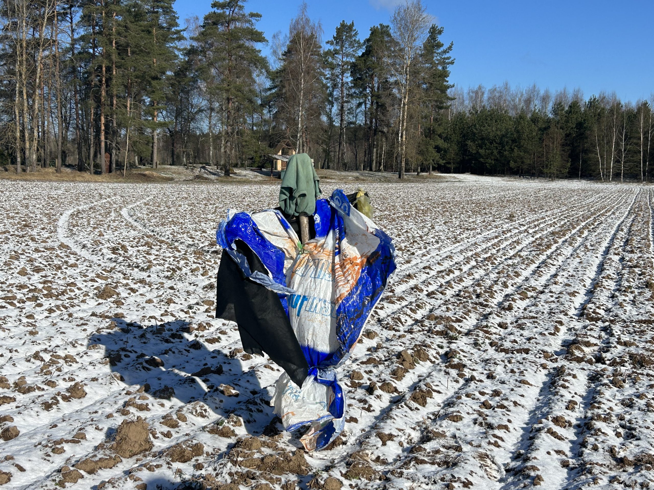 Putnu biedēklis ziemā uz lauka, lai atbaidītu zosis