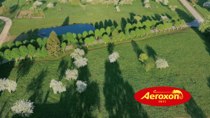Aeroxon zīmola dabas ainava ar dīķi un ziedošiem kokiem
