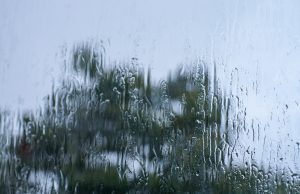 Lietus lāses uz loga stikla ar izplūdušu koku ainavu fonā