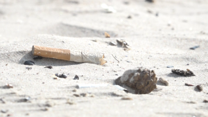 Cigaretes izsmēķis smiltīs pludmalē starp gliemežvākiem un gružiem