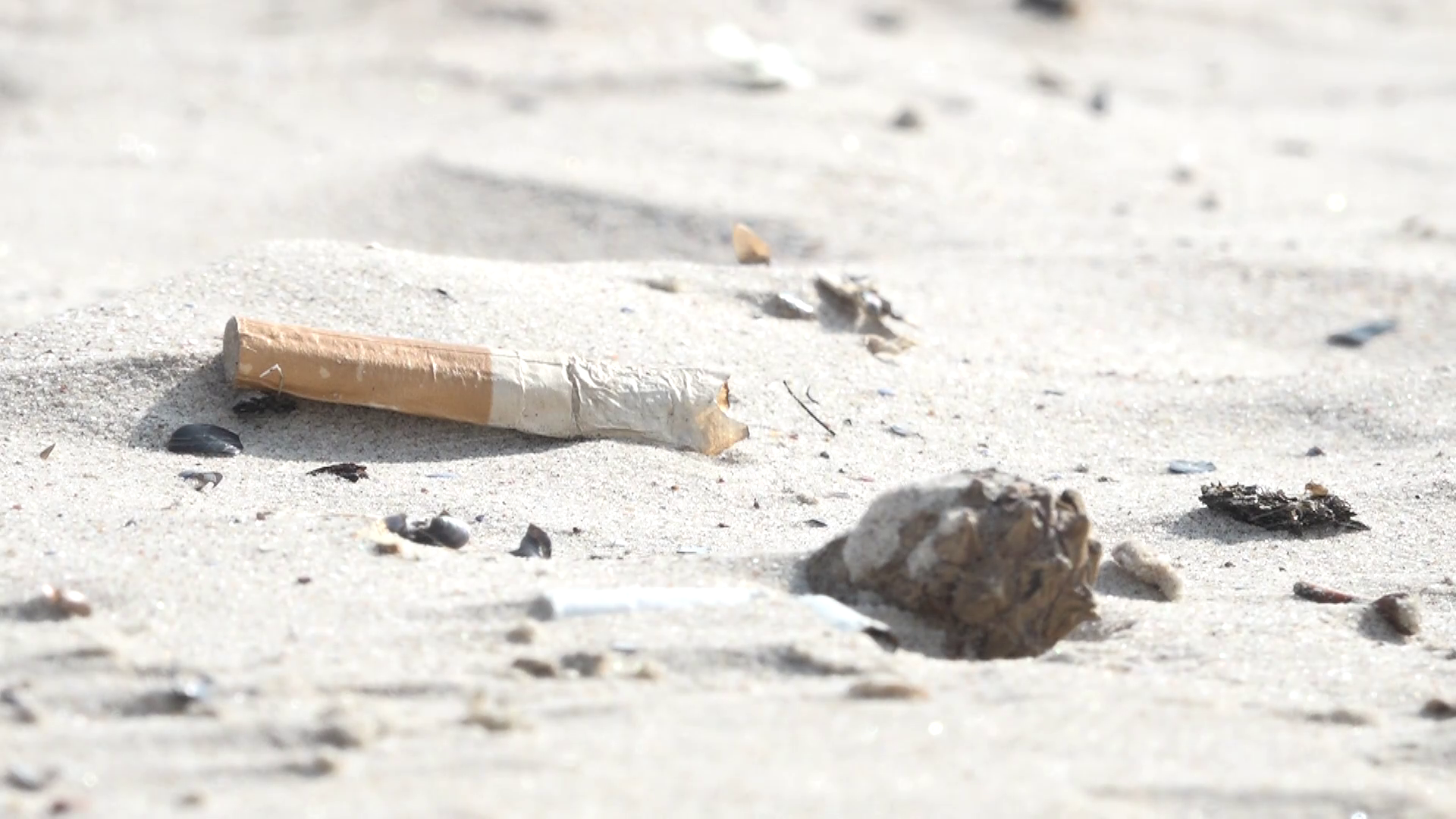 Cigaretes izsmēķis smiltīs pludmalē starp gliemežvākiem un gružiem