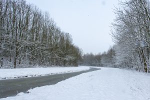 Ziemas ainava ar sniegotiem kokiem un ceļu.
