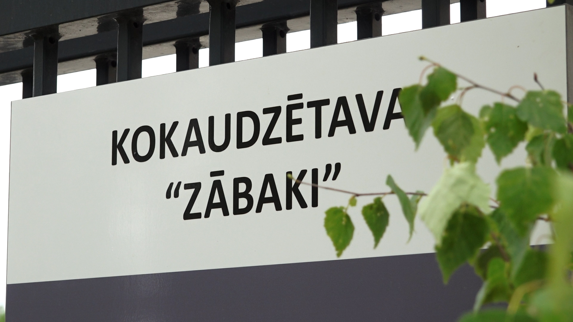 Baltas izkārtnes tuvplāns ar melniem burtiem "KOKAUDZĒTAVA "ZĀBAKI""
