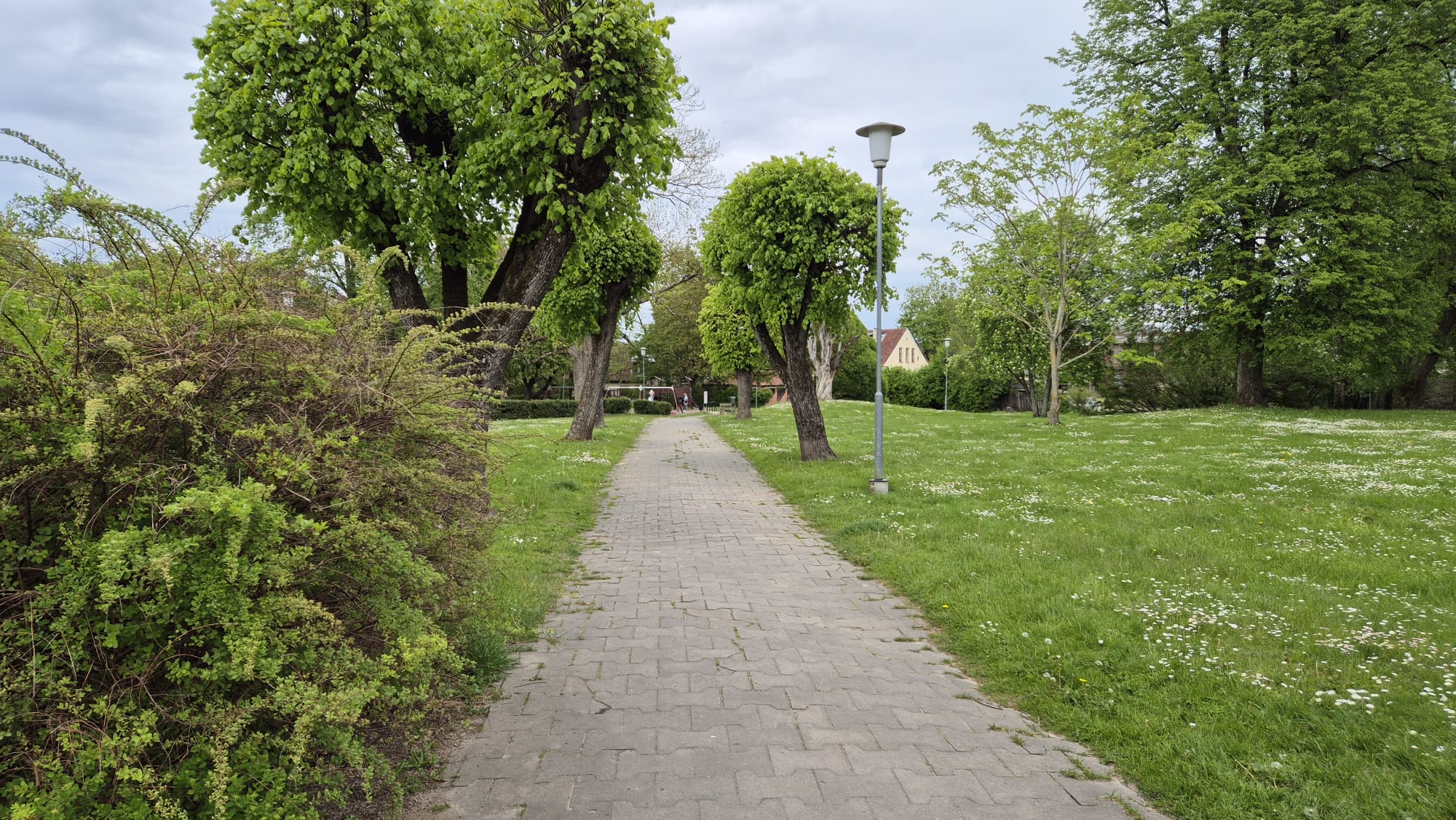 Bruģēts celiņš vijas cauri apzaļumotam Kuldīgas parkam ar apgaismes stabu un koku rindām