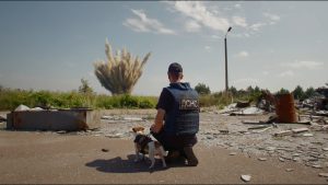 Vīrietis formas tērpā ar suni skatās uz tālu sprādzienu ainavā ar drupām