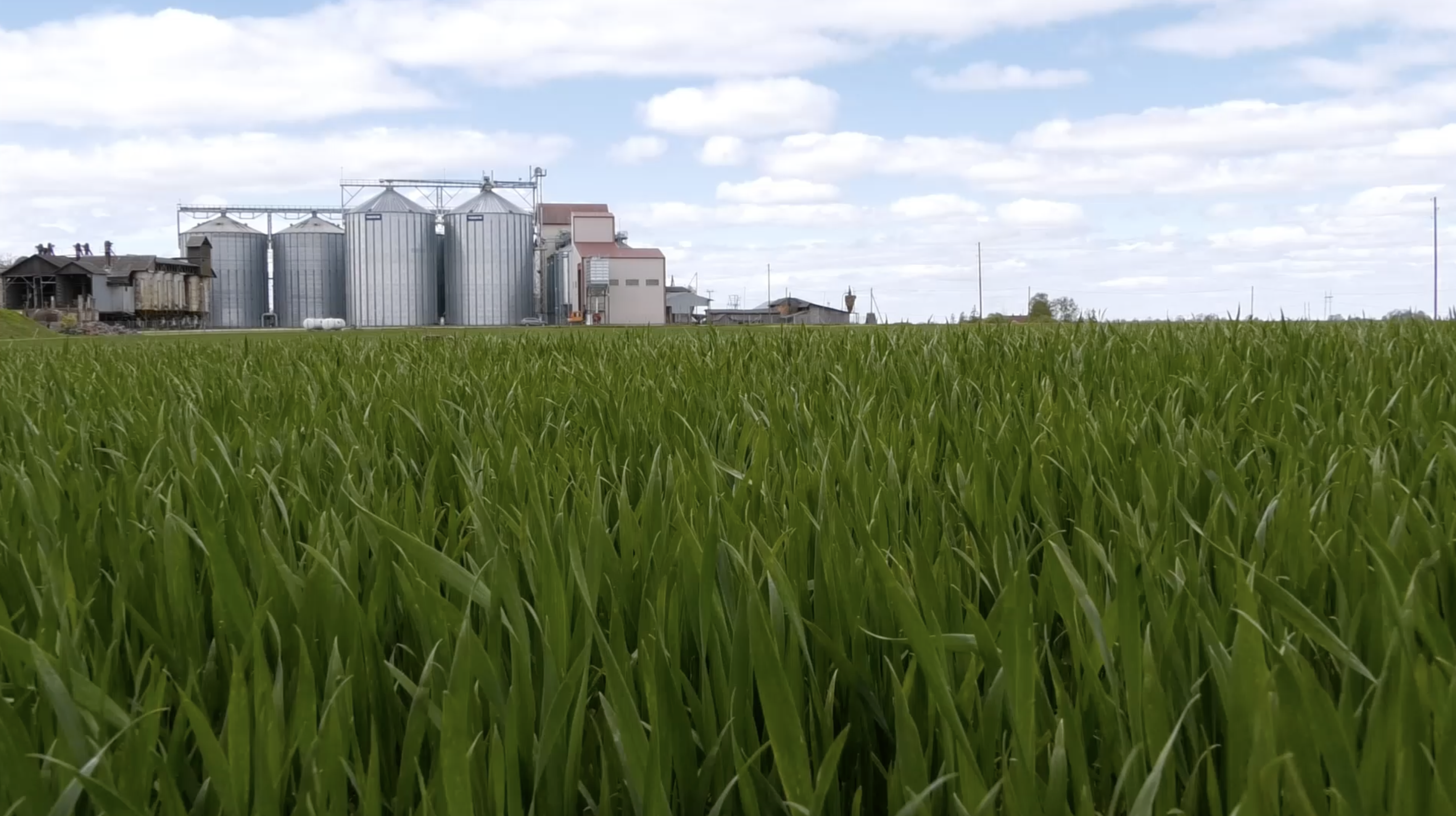 Lauksaimniecības teritorija ar graudu torņiem, Jelgavas novads