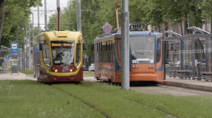 Divi tramvaji Daugavpilī stāv blakus uz sliedēm, zaļas zāles josla starp tām