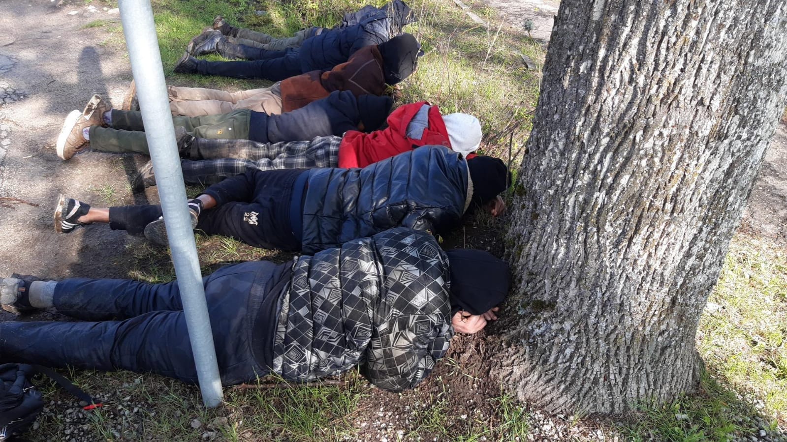 Aizturētas personas guļ uz zemes pie koka
