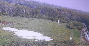Lauks ar ūdens peļķēm un baltu meteoroloģisko zondi attālumā, ar mežu fonā