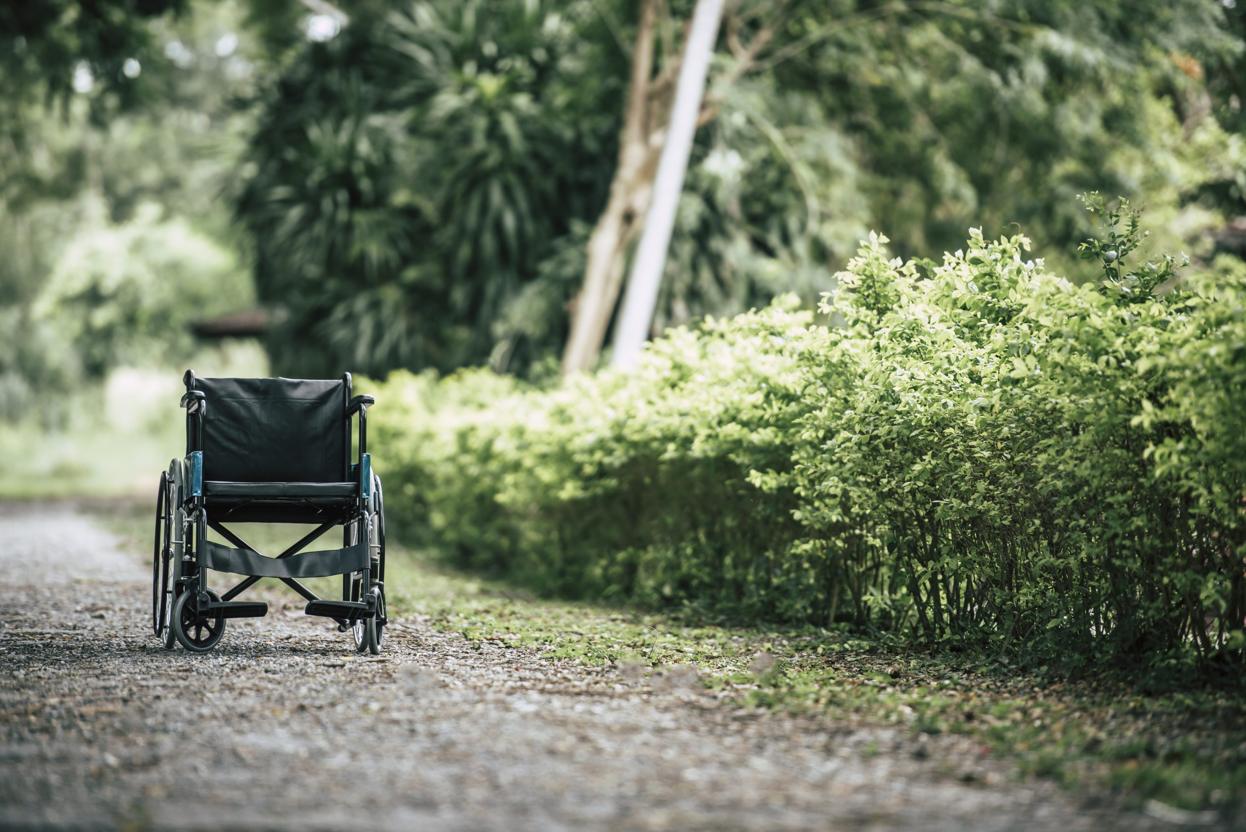 Tukšs ratiņkrēsls uz grants ceļa zaļā parkā