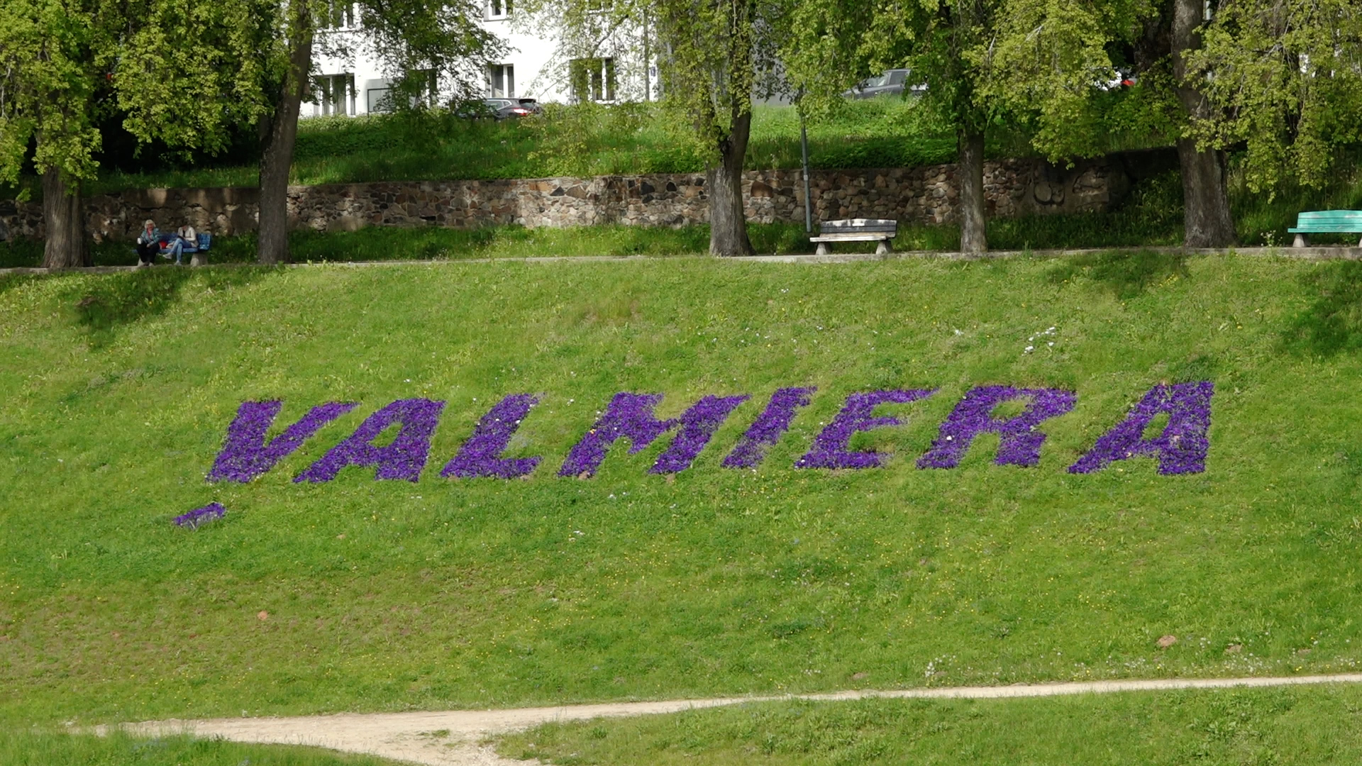 Ziedu uzraksts “Valmiera” uz pavasarīgi zaļa kalna nogāzes