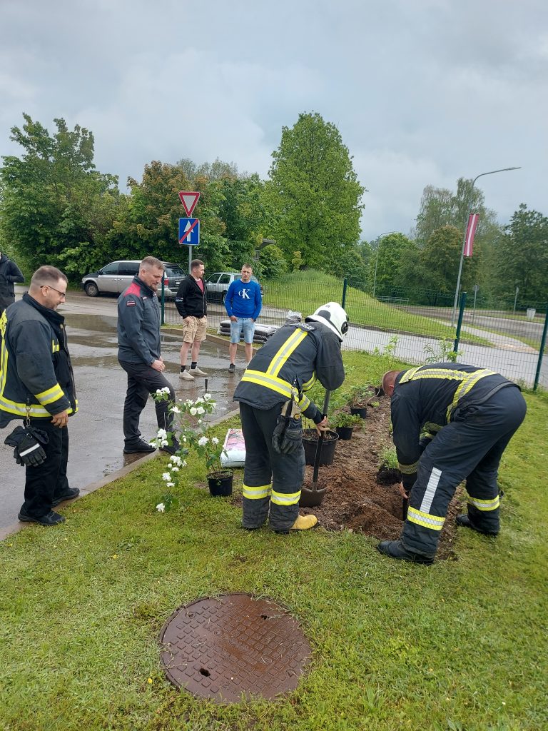 Ugunsdzēsēji un citi vīrieši stāda augus pie ceļa
