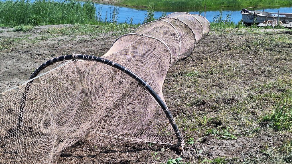 Zvejas murds uz krasta ar ūdeni un zāļainu krastu fonā