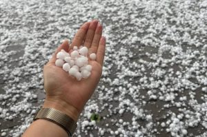 Saujā turēta liela krusas graudu čupa pēc intensīvas vētras