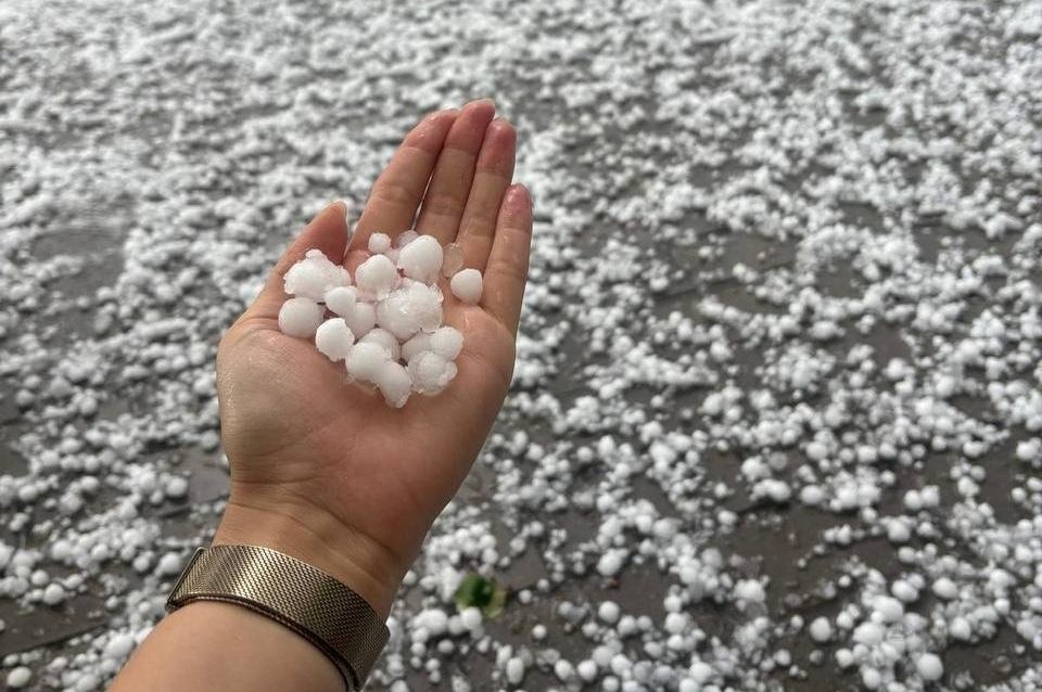 Saujā turēta liela krusas graudu čupa pēc intensīvas vētras