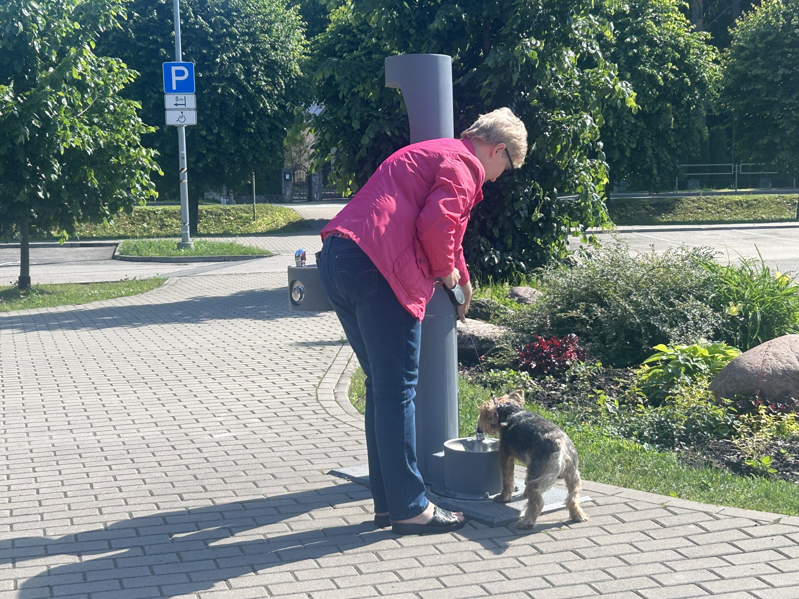 Sieviete ar suni pie publiskās ūdens ņemšanas vietas Ogrē.