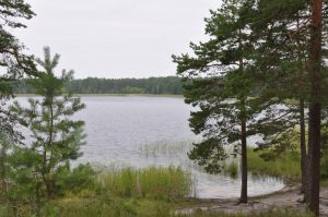 Panorāmas skats uz mierīgo Ummja ezeru, ko ieskauj priežu meži